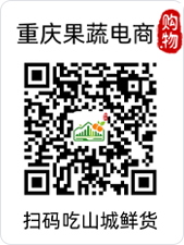重庆果蔬电购物码