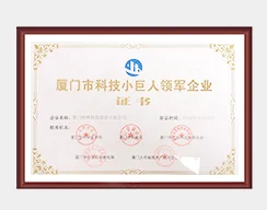 厦门市科技小巨人领军企业证书